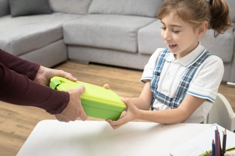 Are You Meant to Wash Kids’ Lunchboxes Every Day Yes or No