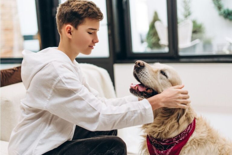 Son Says He Refused to Give Up His Pet After Moving Back Home, Now His Parents Say “It’s Their House, Their Rules”