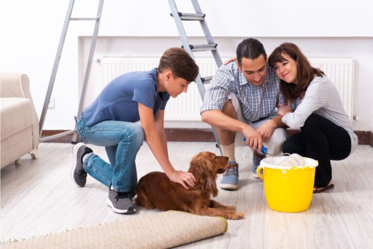 Son Says He Refused to Walk a New Family Dog He Didn’t Want, but His Parents Expect Him to Do It Anyway “It’s Not My Responsibility”