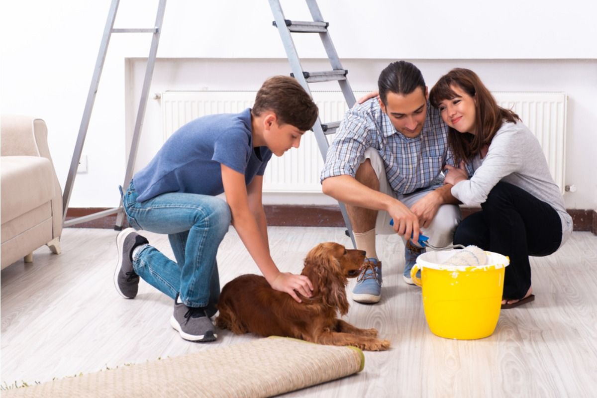 Son Says He Refused to Walk a New Family Dog He Didn’t Want, but His Parents Expect Him to Do It Anyway “It’s Not My Responsibility”
