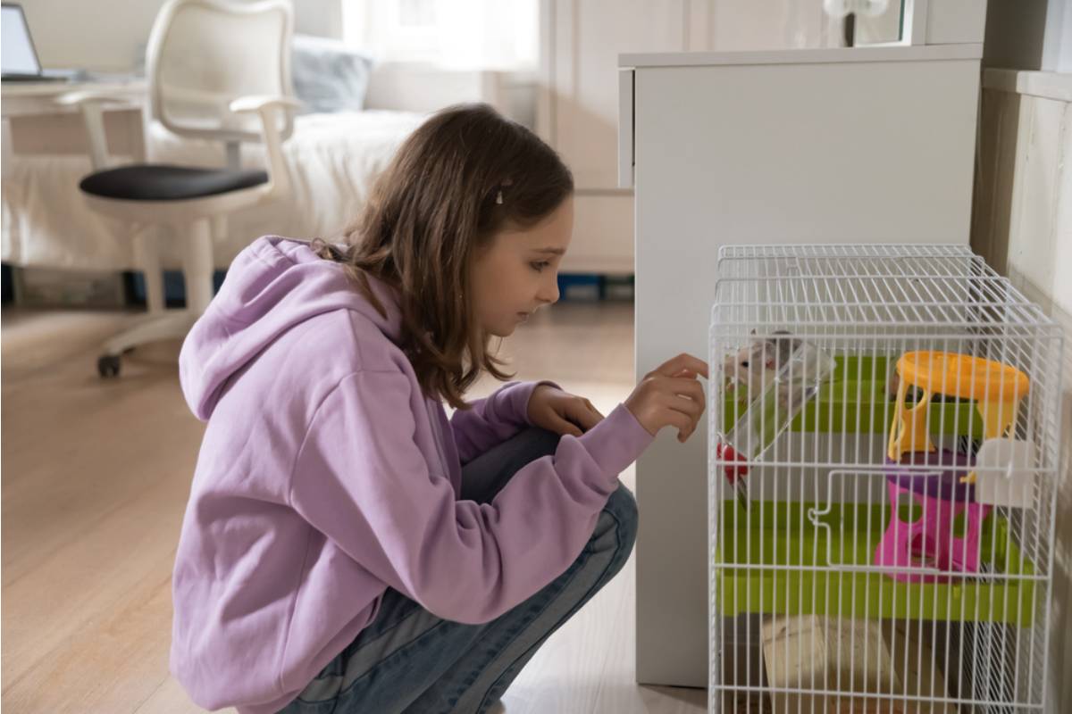 A Mom Says Her Daughter's Class Pet Died Over the Weekend and the Teacher Replaced It Without Telling Any of the Kids the Truth