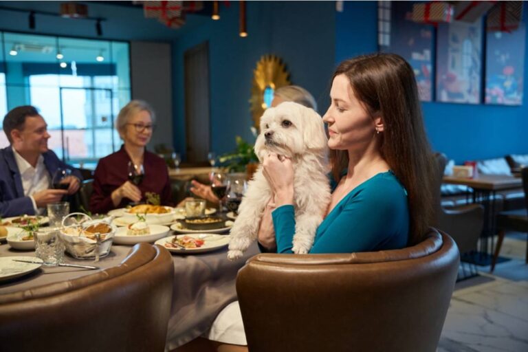 Mom Says She Refused to Let Her Sister-in-Law Bring Her Dog to Every Family Gathering After Her Son's Allergic Reaction, Now She's Called Dramatic Over a Dog