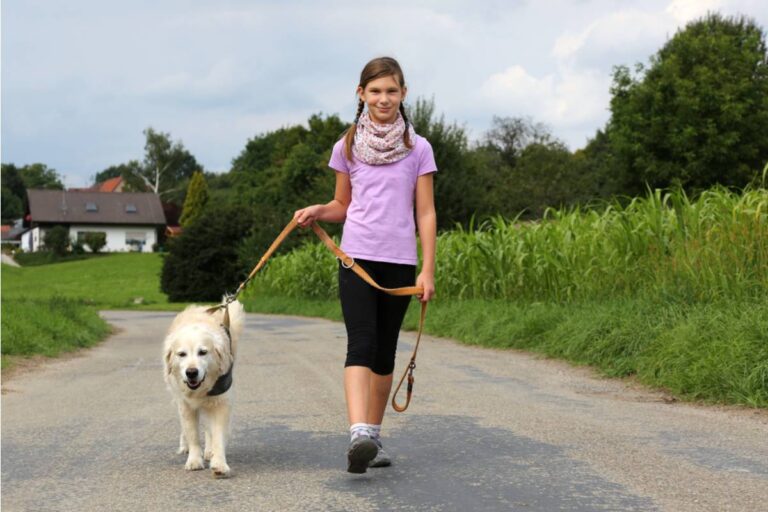 A Mom Found Out Her Daughter Had Been Walking Their Elderly Neighbor's Dog Every Day After School Just to Have Somewhere to Go That Wasn't Home Yet