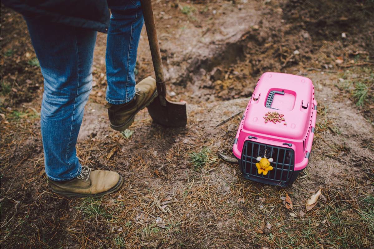 Dad Says He Refused to Let His Brother Bury the Family Dog in His Backyard Without Asking First, Now His Sister Says He's "Making a Grieving Man Homeless for His Own Pet"