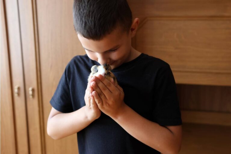 A Teacher Says a Student Brought His Hamster to Show-and-Tell and Cried When No One Asked to Hold It