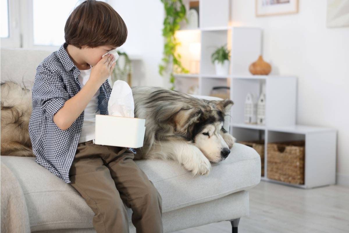 A Teacher Says a Student's Dog Died Over the Weekend and He Asked to Take a Makeup Test Instead of Talking About It During Circle Time