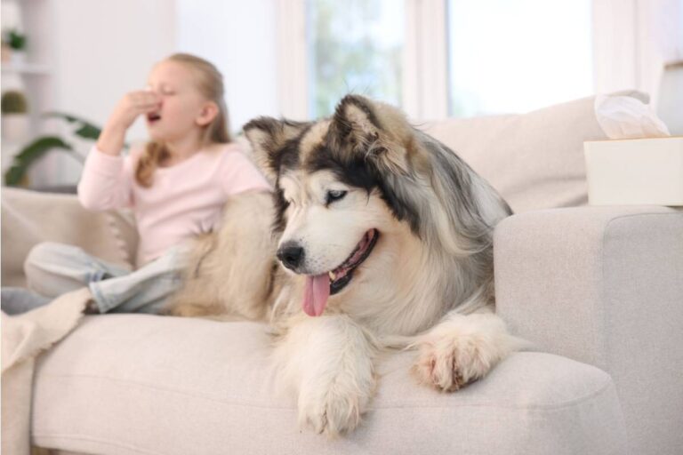 A Dad Says His Mother-In-Law Promised to Keep His Kids Away From a Dangerous Dog, Then His Daughter Quietly Revealed What Happened