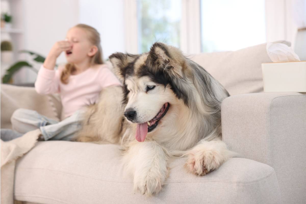 A Dad Says His Mother-In-Law Promised to Keep His Kids Away From a Dangerous Dog, Then His Daughter Quietly Revealed What Happened