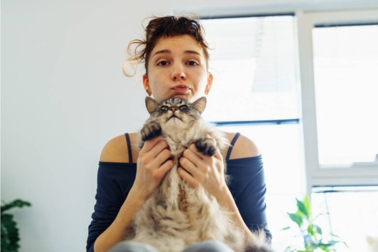 A 17-Year-Old Says Her Father Keeps Kicking Her Cat for Scratching the Door, and She's Terrified He'll Hurt Her Like He Did Their Other Cat