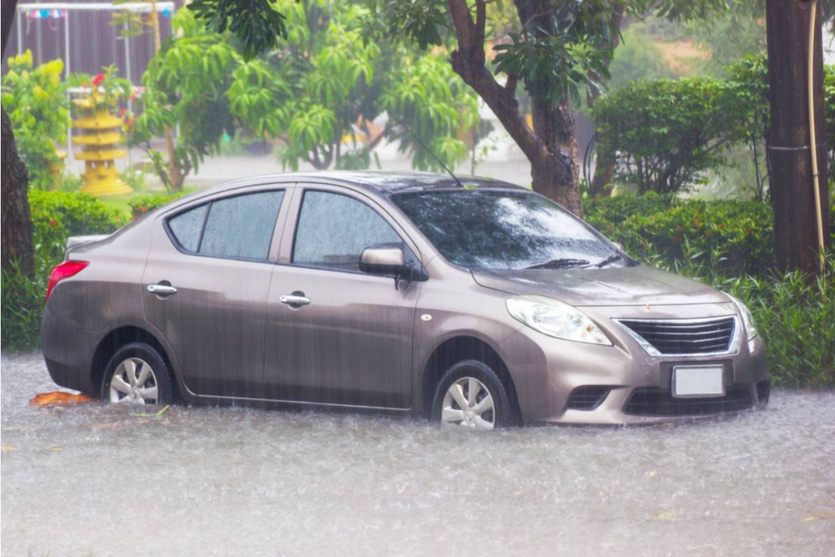 A Man Says He Threw Raw Shrimp Into the Trash Before a Trip, and His Mom's Car Ended Up Soaked After a Storm