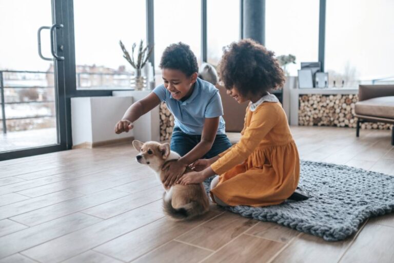 A Mom Says Her In-Laws Dropped Off a Puppy for Her Son’s Birthday Without Asking, and Suddenly Her Family Had a Very Big Decision to Make