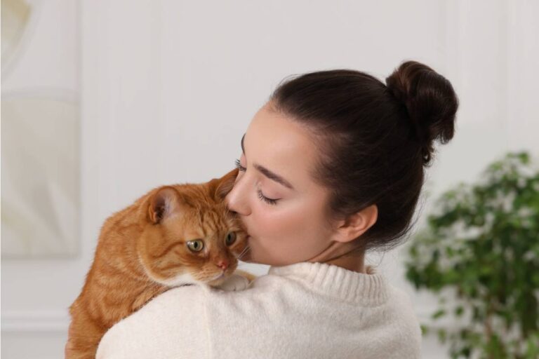 A Woman Says Her Grandmother-in-Law Has Screamed at Her for Years, but a Simple Rule About Her Cats Finally Pushed Her to the Edge