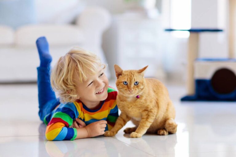 A Study of Nearly 1,900 Families Found a Troubling Link Between Cats and Kids’ Mental Health, but One Detail Changes the Story