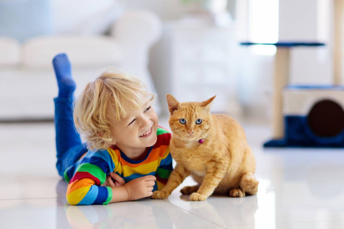 A Study of Nearly 1,900 Families Found a Troubling Link Between Cats and Kids’ Mental Health, but One Detail Changes the Story